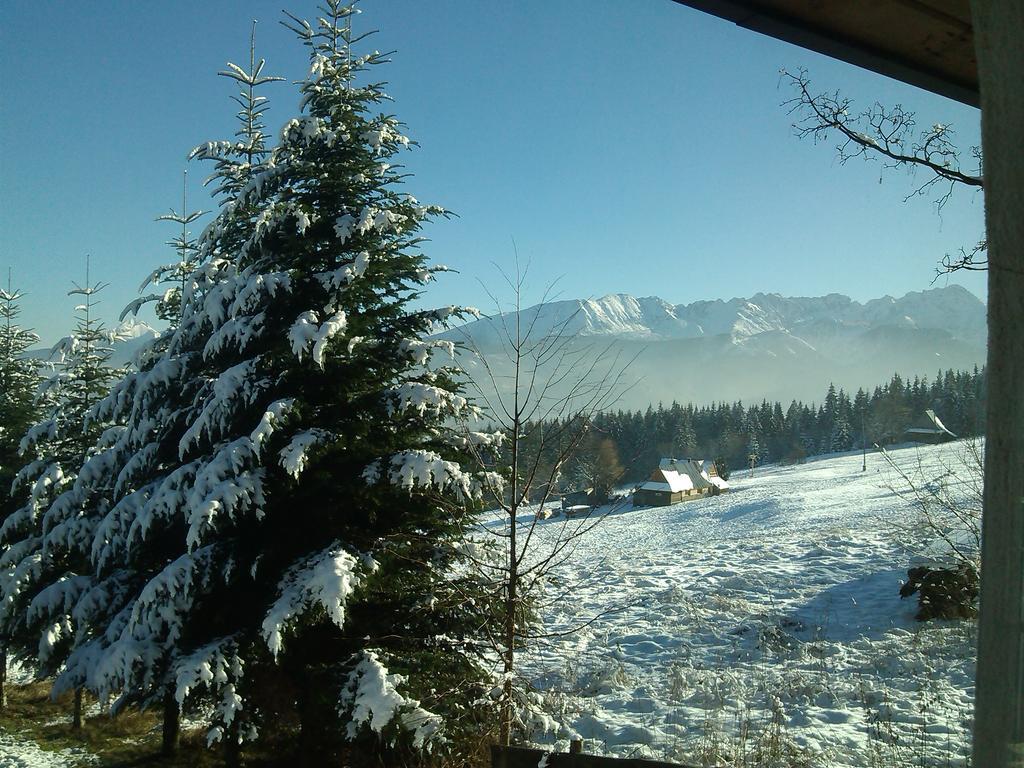 Panorama Tatr Hotel Zakopane Exterior photo