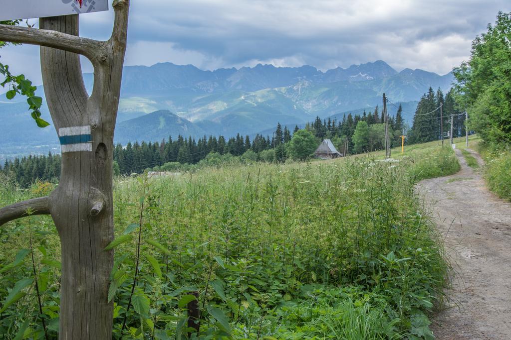 Panorama Tatr Hotel Zakopane Exterior photo
